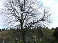 Stirling castle (6)